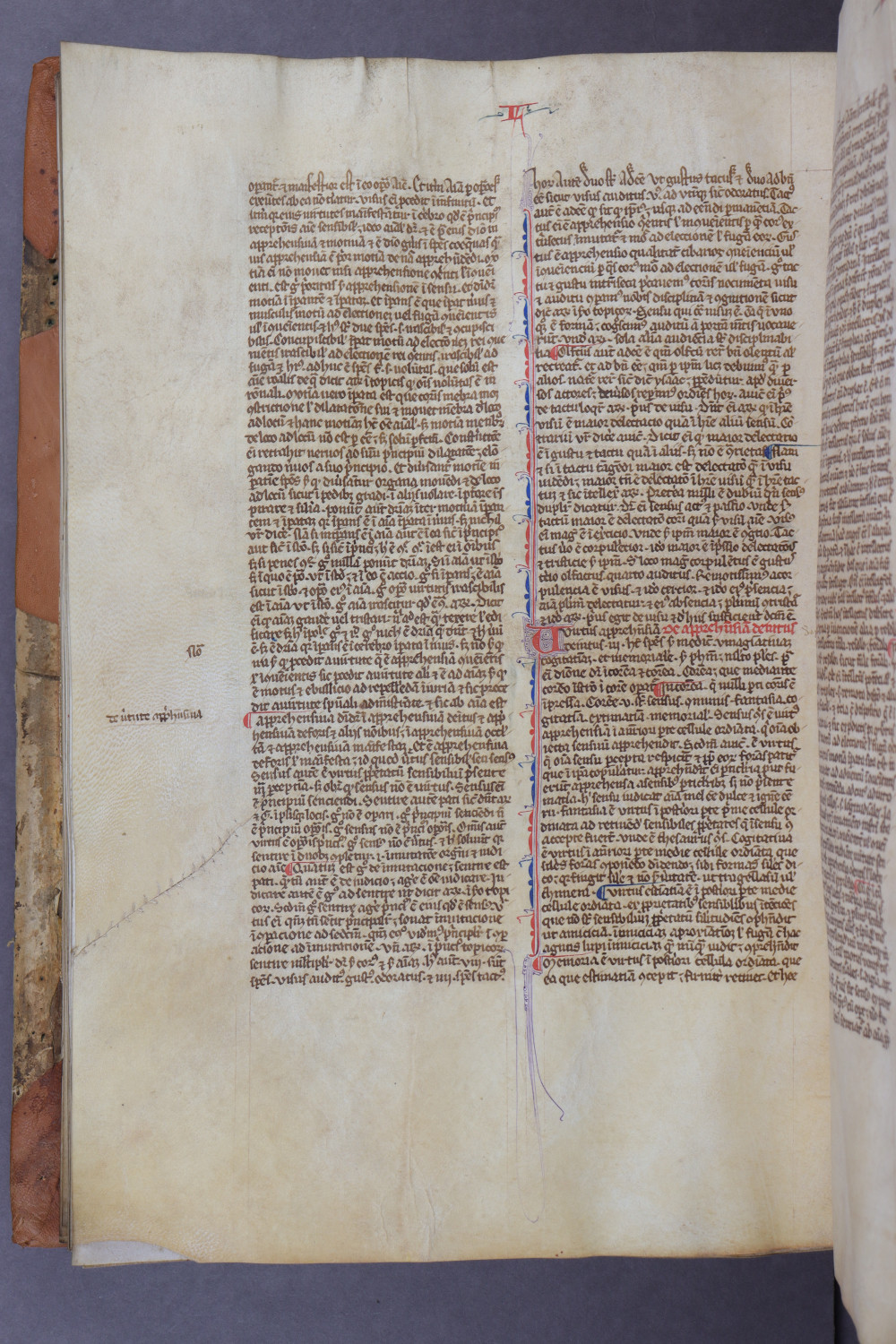 Folio 86 verso